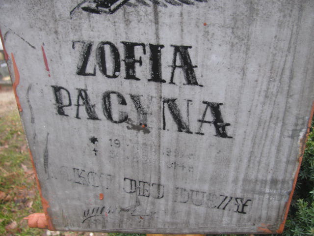 Grób Zofia Pacyna