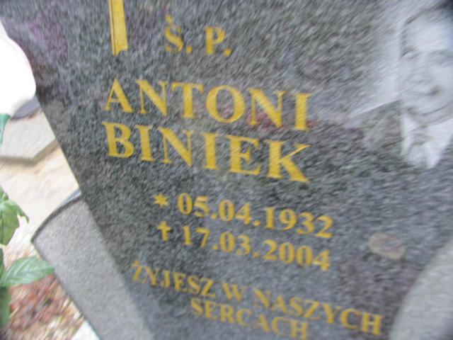 Antoni Biniek 1932 Lubań Gmina - Grobonet - Wyszukiwarka osób pochowanych